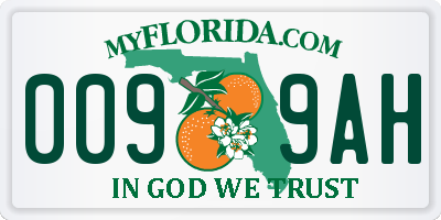 FL license plate 0099AH