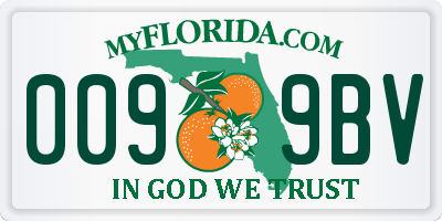 FL license plate 0099BV