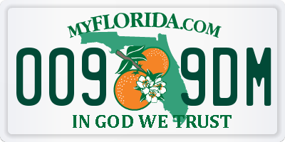 FL license plate 0099DM