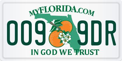 FL license plate 0099DR