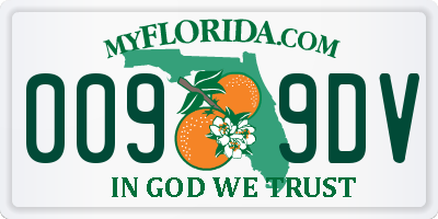 FL license plate 0099DV