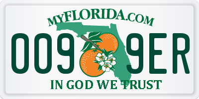 FL license plate 0099ER