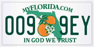 FL license plate 0099EY