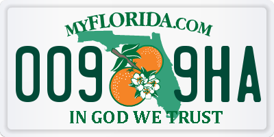 FL license plate 0099HA