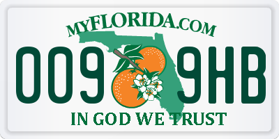 FL license plate 0099HB