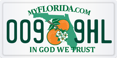 FL license plate 0099HL