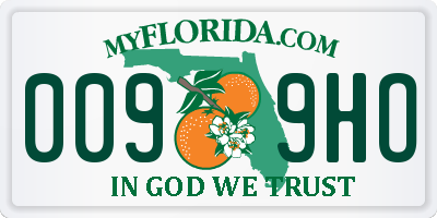 FL license plate 0099HO