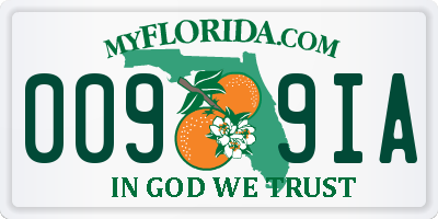 FL license plate 0099IA
