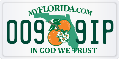 FL license plate 0099IP