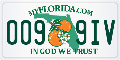 FL license plate 0099IV