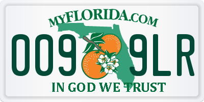 FL license plate 0099LR