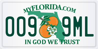 FL license plate 0099ML