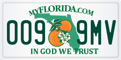 FL license plate 0099MV