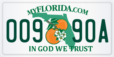 FL license plate 0099OA