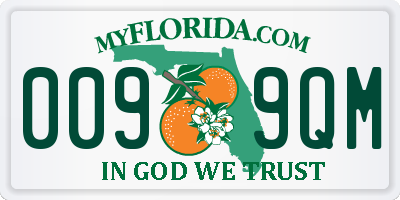 FL license plate 0099QM