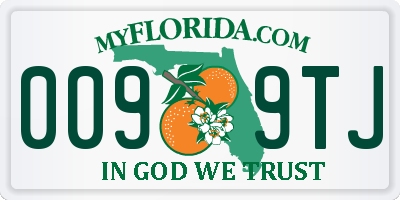 FL license plate 0099TJ