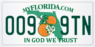 FL license plate 0099TN