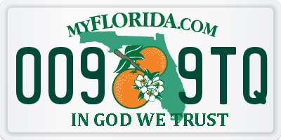 FL license plate 0099TQ