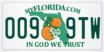 FL license plate 0099TW