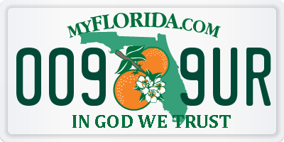 FL license plate 0099UR