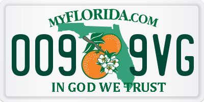 FL license plate 0099VG