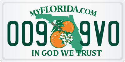 FL license plate 0099VO