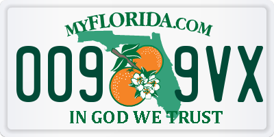 FL license plate 0099VX
