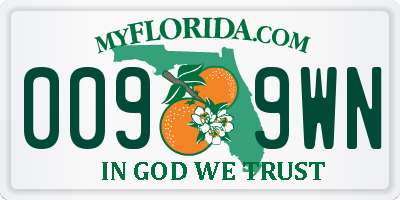 FL license plate 0099WN