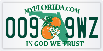 FL license plate 0099WZ
