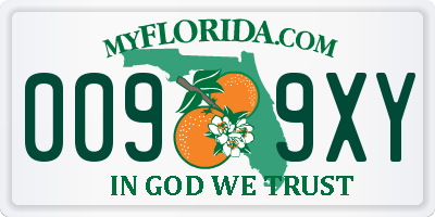FL license plate 0099XY