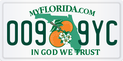 FL license plate 0099YC