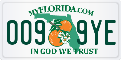 FL license plate 0099YE