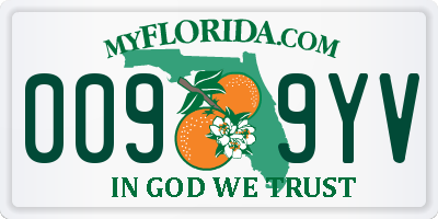 FL license plate 0099YV