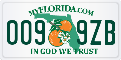 FL license plate 0099ZB