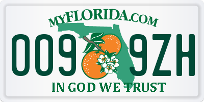 FL license plate 0099ZH