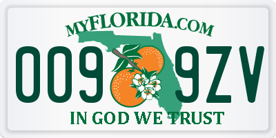FL license plate 0099ZV
