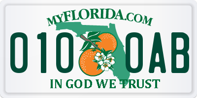 FL license plate 0100AB