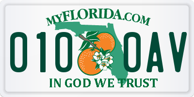 FL license plate 0100AV