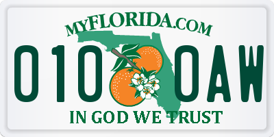 FL license plate 0100AW