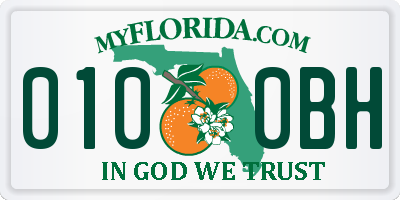 FL license plate 0100BH