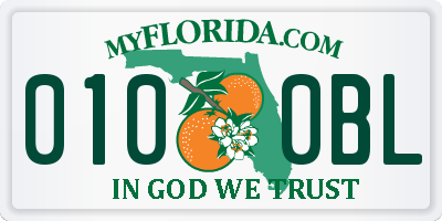 FL license plate 0100BL