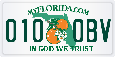 FL license plate 0100BV