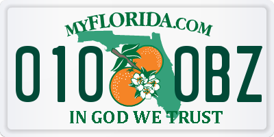 FL license plate 0100BZ