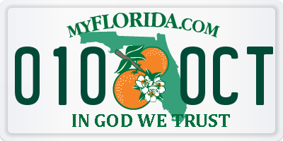 FL license plate 0100CT