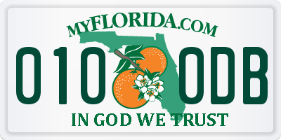 FL license plate 0100DB