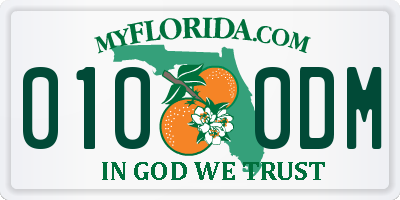 FL license plate 0100DM