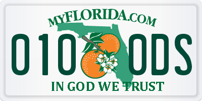 FL license plate 0100DS