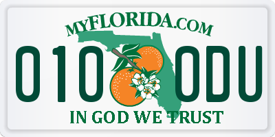 FL license plate 0100DU