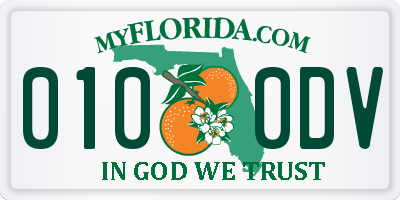 FL license plate 0100DV
