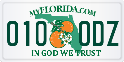 FL license plate 0100DZ